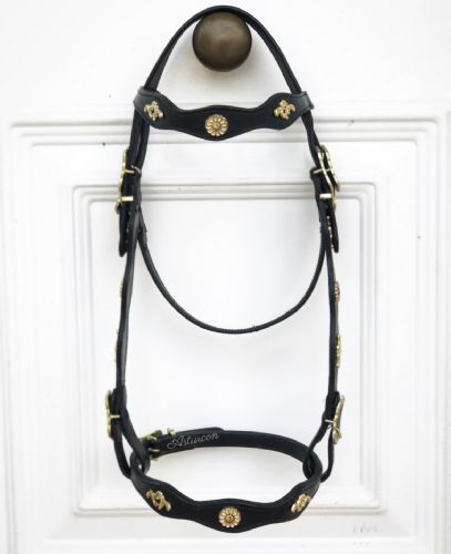 Palpatine Portuguese Bridle